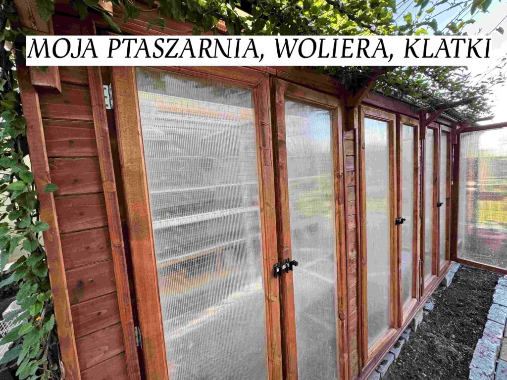 20250426 163853540 iOS