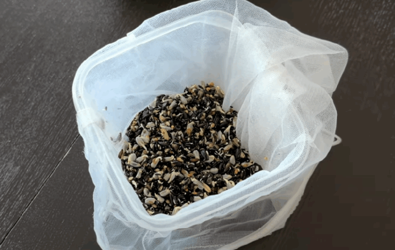 JAK ZROBIĆ IDEALNE KIEŁKI? MÓJ SPOSÓB – SPRAWDZA SIĘ W 100 %