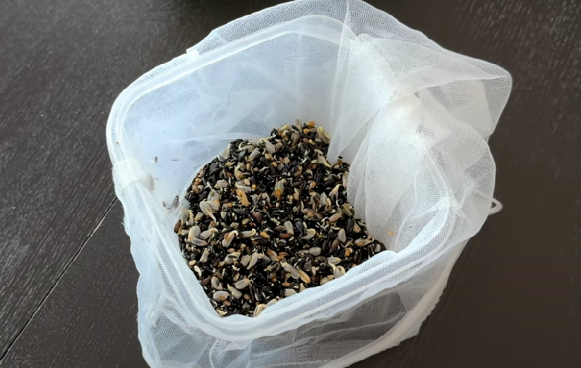 Zrzut ekranu 2025 05 03 160633