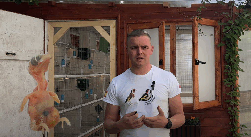 Zrzut ekranu 2025 05 19 102034