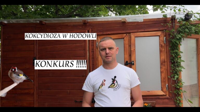 SZCZYGŁY SYBERYJSKIE: KOKCYDIOZA