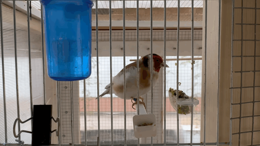 Zrzut ekranu 2025 07 15 184926