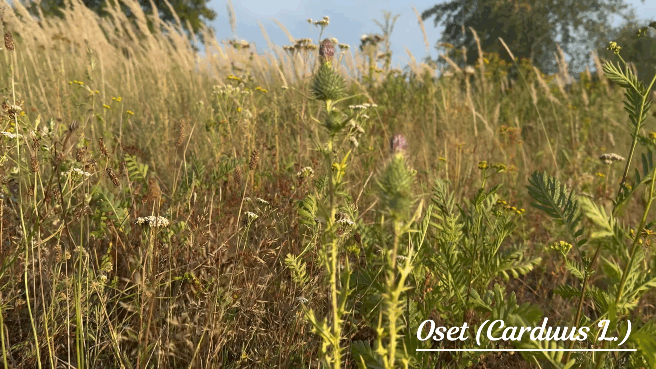 Zrzut ekranu 2025 08 31 112621 scaled