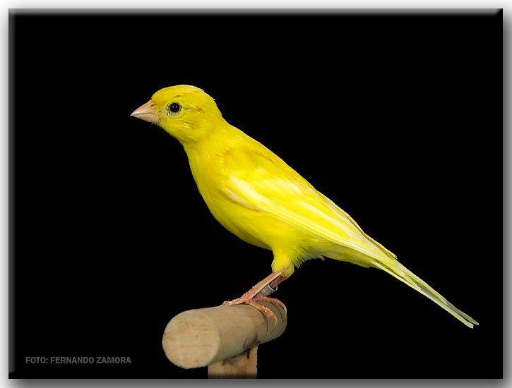 06117efea55e2d8f44af0926afa11772