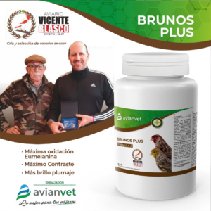 Zrzut ekranu 2025 12 21 150442