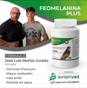 Zrzut ekranu 2025 12 21 150500