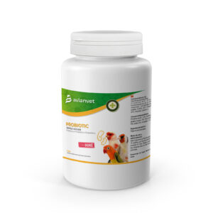 PROBIOTIC TRIPLE ACCION