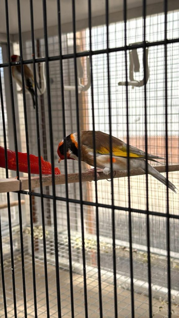 4911e009 4607 4138 90ff 93975ba193b1