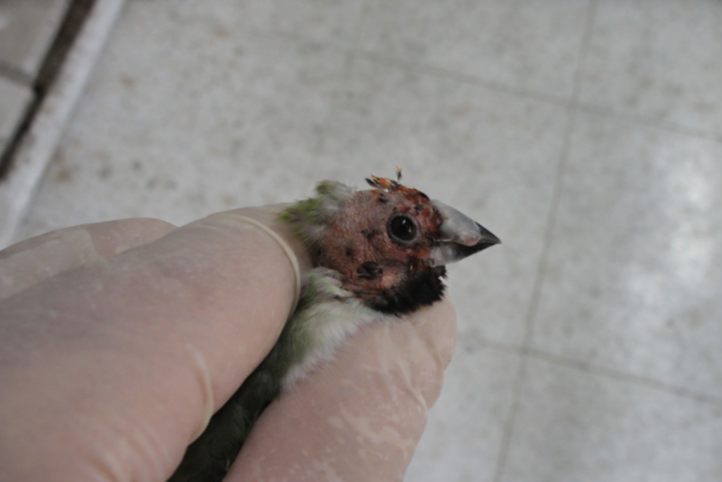 ChatGPT Image 18 mar 2026 17 41 59