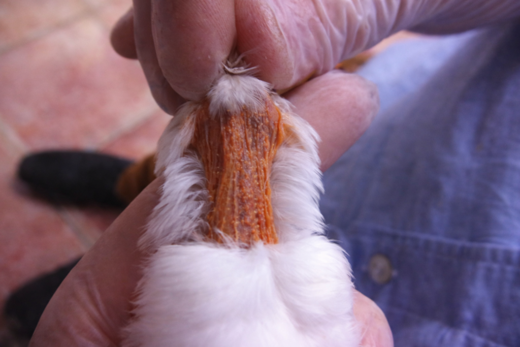 ChatGPT Image 18 mar 2026 17 42 06