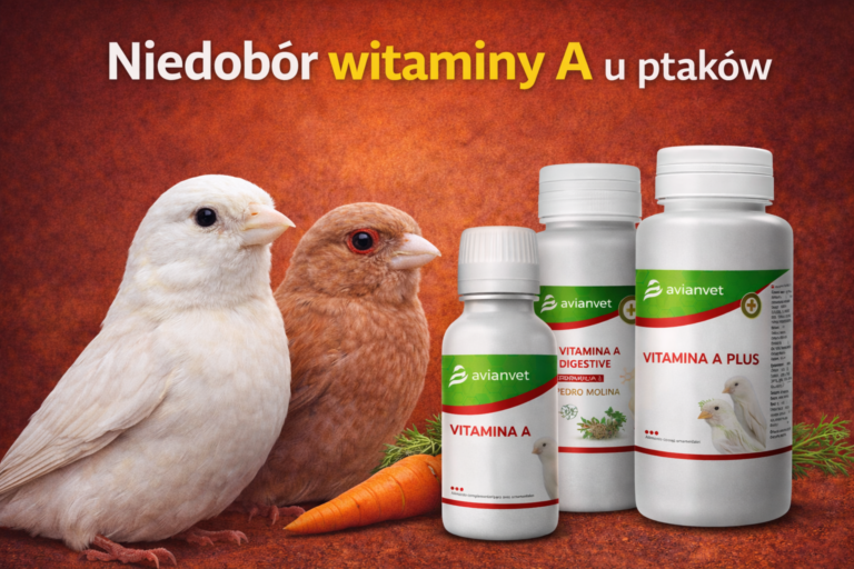 Niedobór witaminy A u ptaków