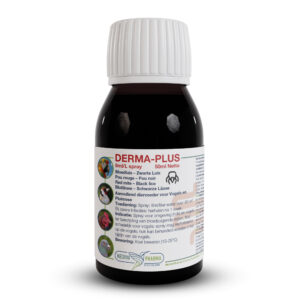 DERMA-PLUS