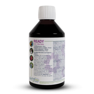 READY 250ml