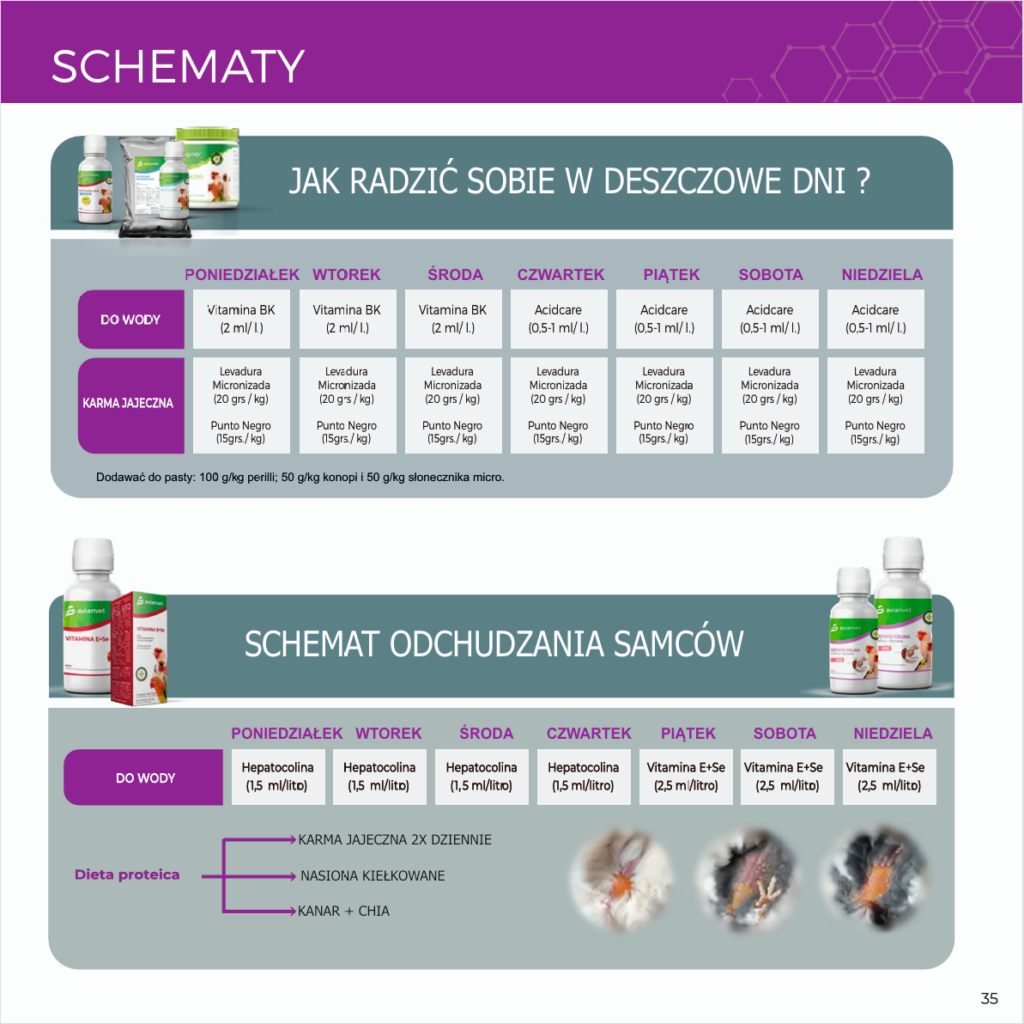 Zrzut ekranu 2026 04 02 205100